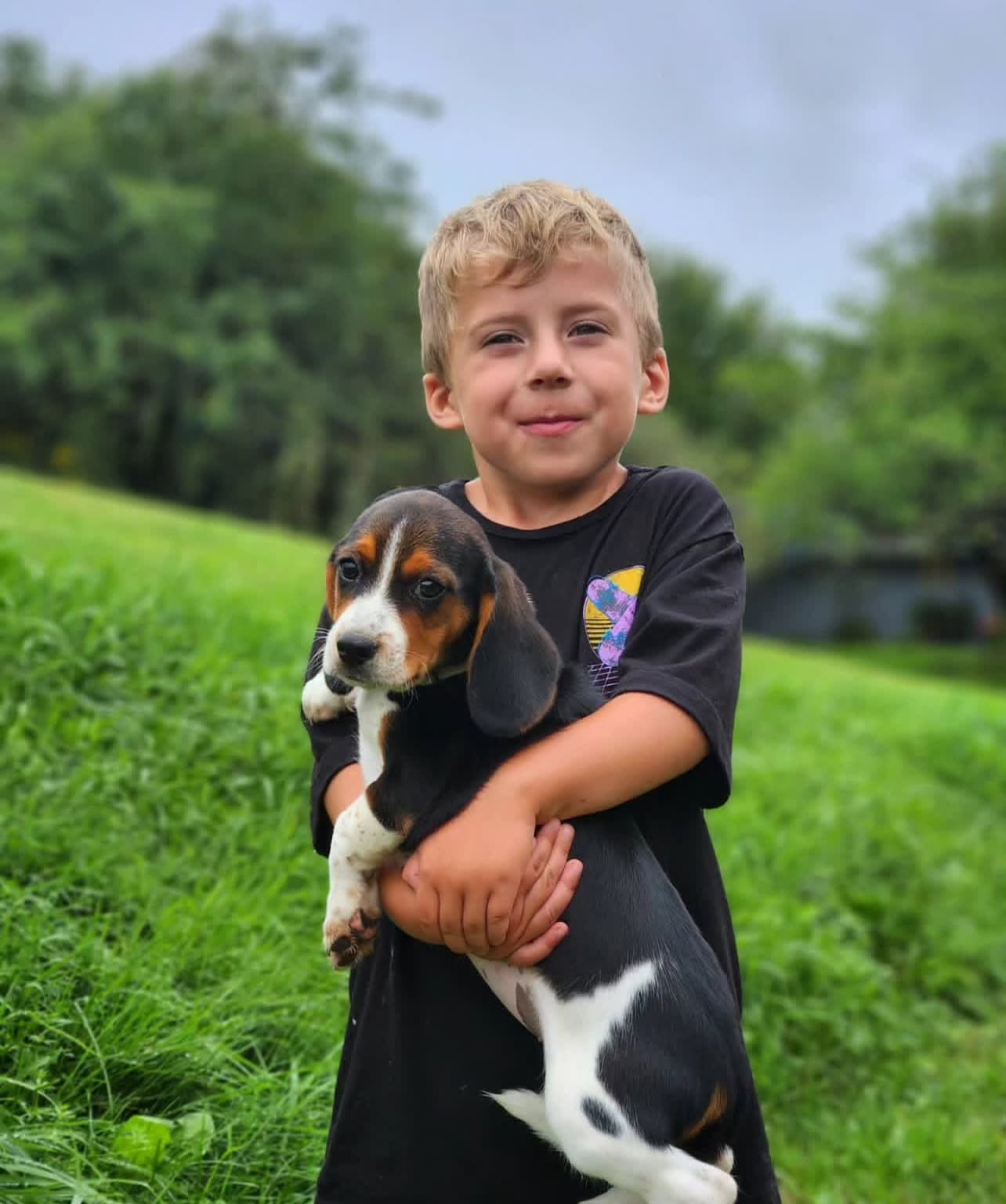 Beagle