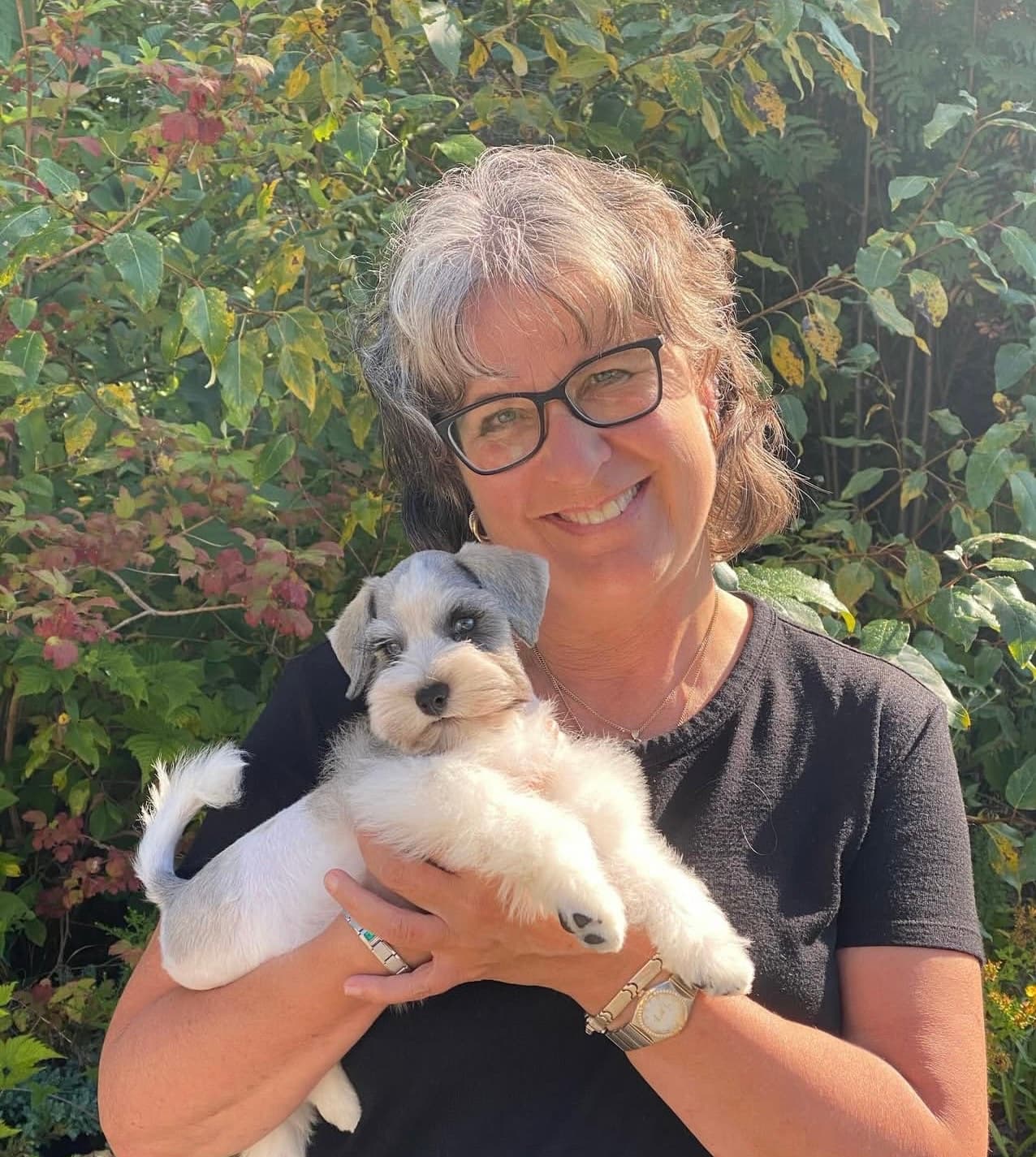 Miniature Schnauzer
